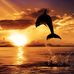 John Dobson - Facebook