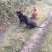 John Dobson - Facebook