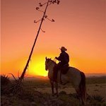 @john_dodds - Instagram