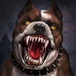 John Doelman - @holy_stfu - Instagram
