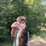 John Doherty - Facebook