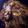 John Doller - @john.doller - TikTok