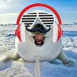 john donaruma - @john_is_boss45 - Instagram