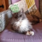John Donkers - @johndonkers573 - Instagram