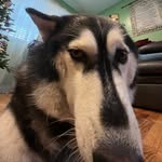 John Donovan - @don_johnovan - Instagram