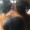 John Donovan - @bruhwhywtf - TikTok