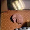 John Doolin188 - @johndoolin - TikTok