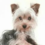 @john_dorrian92 - Instagram