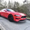 johndorton481 - @johndorton481 - TikTok