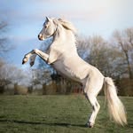 John Dosher - @dosher.john - Instagram