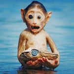 John Downer Productions - @johndownerproductions - Instagram