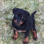 John Dowie - @dowiejohn - Instagram