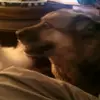 John Dowland - @john.dowland - TikTok