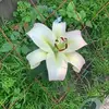 John Downing - @john.downing3 - TikTok