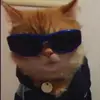 John Draper - @prankemj0hn_ - TikTok