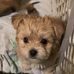 John Drewry - Facebook