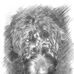 Jon Drewry - Facebook