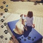 John Drexler - @john.drexler - Instagram