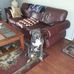John Drexler - Facebook