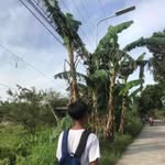 John Drey Crisostomo - @jhon_dreyy - Instagram