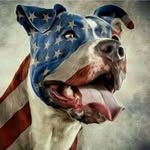 John Drouin - @johndrouin451 - Instagram