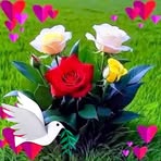 John Driver - Facebook