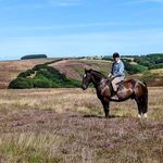 John Drover - @john.drover - Instagram