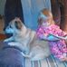 John Drozda - Facebook