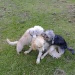 John Drysdale - @jardrysdale - Instagram