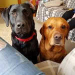 john drysdale - @drybey - Instagram