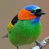 johndrysdale28 - @johndrysdale28 - TikTok