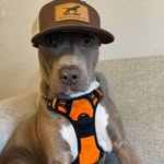 Samuel John Drzewiecki - @samdrz - Instagram