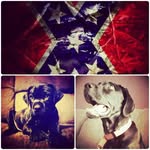 John Duane Jr Reinhart - @johnny88rocks - Instagram