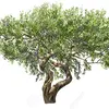 John Dubosky iv - @john.dubosky.iv - TikTok