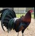 John Dubuisson - Facebook