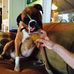 John Ducceschi - Facebook