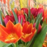 John Duch - @johnduchnyc - Instagram