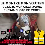 John Duchemin - @john.duchemin.3 - Instagram