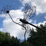 John Ducker - @duckerjohn - Instagram
