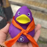 John Ducker - @the_duck_cult_cej2024 - Instagram
