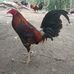 John Ducusin - Facebook