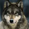 John Dudeney - @john.dudeney99 - TikTok