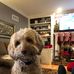 John Dueker - Facebook