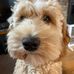Joan Durlacher - Facebook