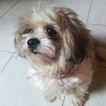 John Duncombe - @johnduncombe1970 - Instagram
