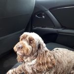 John Dunning - @john.dunning.350 - Instagram