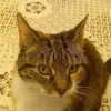 John Dunning - @john.dunning2 - TikTok