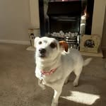 John dunning - @dunning7754 - Instagram