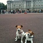 John Dunphy - @johnstacey08833 - Instagram