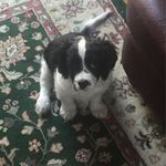 John Dunphy - @dunphy1333 - Instagram